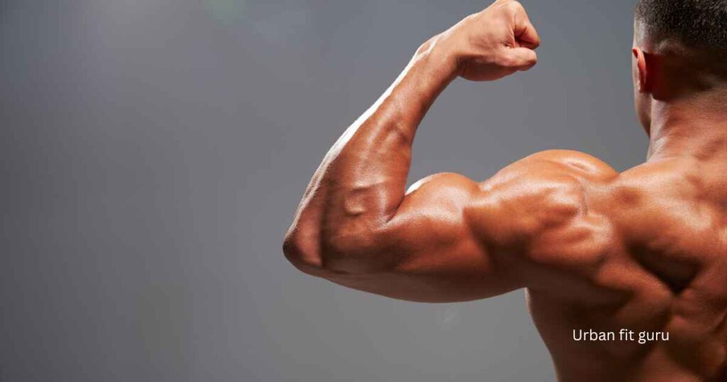 How do you increase the size of your biceps without equipment?