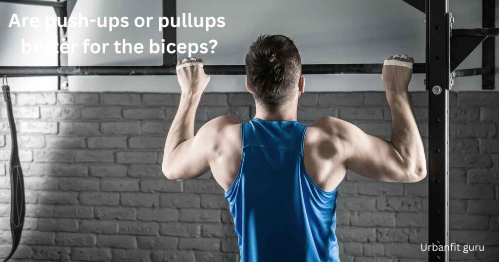 Are push-ups or pullups better for the biceps?