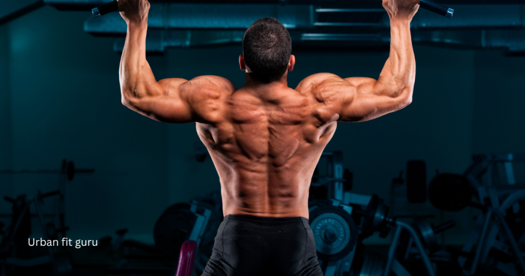 Are long head biceps better?